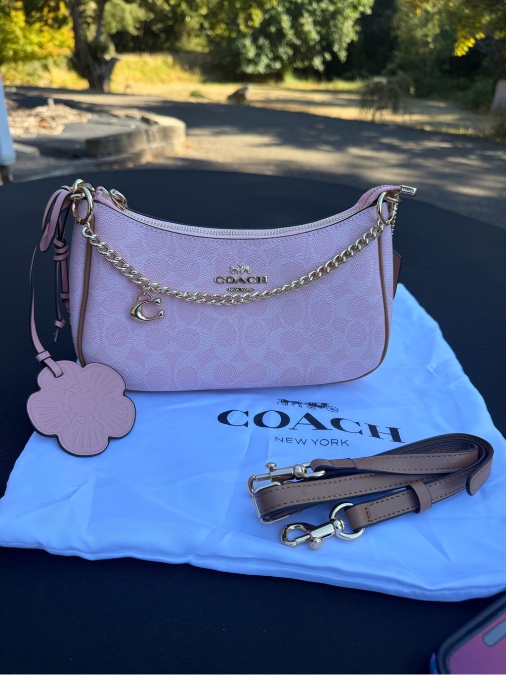 Coach Teri Shoulder Bag in Signature Powder Pink 🩷✨💛
